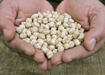 O conhecimento na conquista da plena saúde