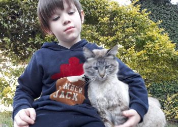 Animais – Declaração dos Direitos dos Animais