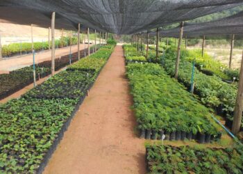 Proteção Ambiental