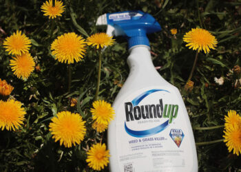 O envenenamento invisível das cidades