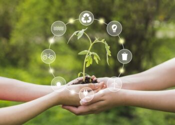 Educação Ambiental