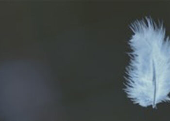 Saiba o que o curso de Mindfulness proporcionou à comunidade