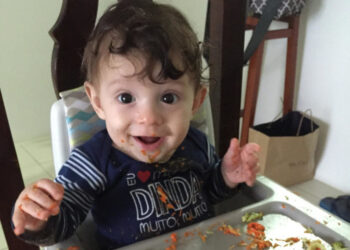 Metais pesados ​​tóxicos em alimentos infantis, nos Estados Unidos