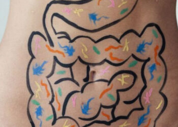 Intestino saudável para ajudar no combate à COVID-19