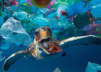 Plásticos ocultos no nosso cotidiano: 10 itens comuns que surpreendentemente contêm plástico