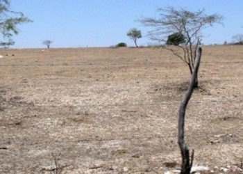 Mudança do clima acelera criação de deserto do tamanho da Inglaterra no Nordeste