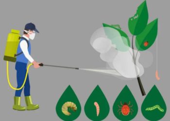 Qual o melhor método para tirar agrotóxicos dos alimentos e da água?