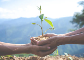 Inscreva-se agora mesmo para a Ecofeira Solidária do Movieco