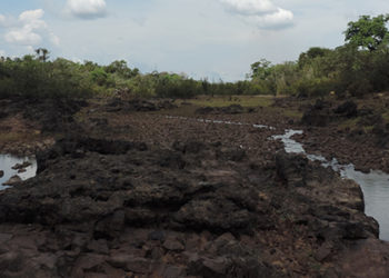 “Os humanos serão despachados da terra por mau comportamento”, diz Ailton Krenak