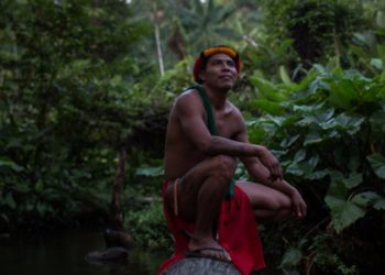 Indígenas são os que mais protegem as florestas, mas os que menos recebem recursos diretos