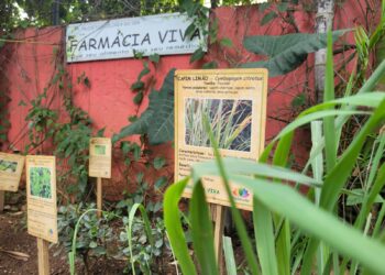 Farmácia Viva no Movieco: Venha nos Visitar!