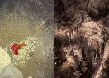 Pacote de salgadinho: um alerta para os ecossistemas de cavernas nos EUA