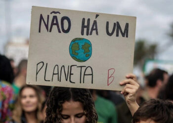 Desafios e avanços do Movimento Ambientalista no Brasil