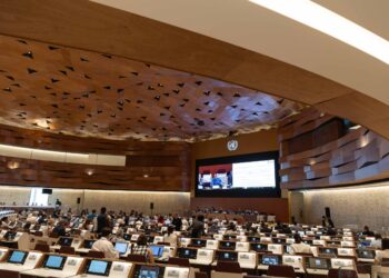 Organizações enviam carta ao governo brasileiro em apoio à regulação de plásticos problemáticos