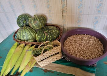 Feiras Agroecológicas no Brasil: sustentabilidade e resistência