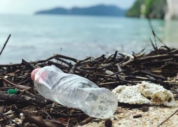 Estratégia Nacional Oceano sem Plástico entre 2025 a 2030
