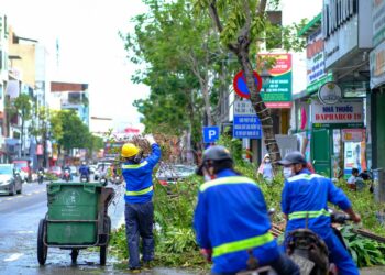 MTE abre enquete nacional sobre segurança na limpeza urbana e manejo de resíduos