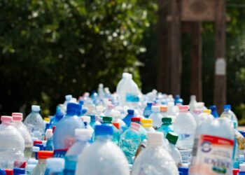 Microplásticos são detectados no corpo humano em estudo global