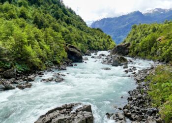 Qualidade dos rios da Mata Atlântica segue estagnada e sem avanços significativos