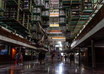 De “índio” a “povos originários”: a evolução dos termos e seus impactos na sociedade e nas bibliotecas