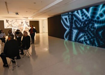 Exposição imagina a Terra sem humanos para refletir sobre a crise climática
